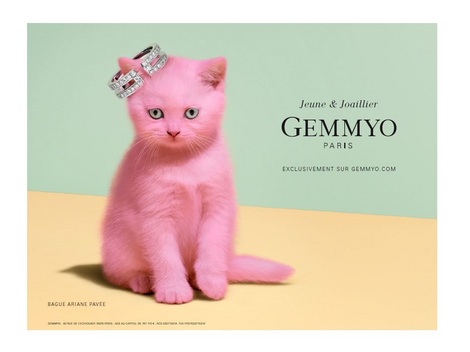 Campagne de pub gemmyo chat rose