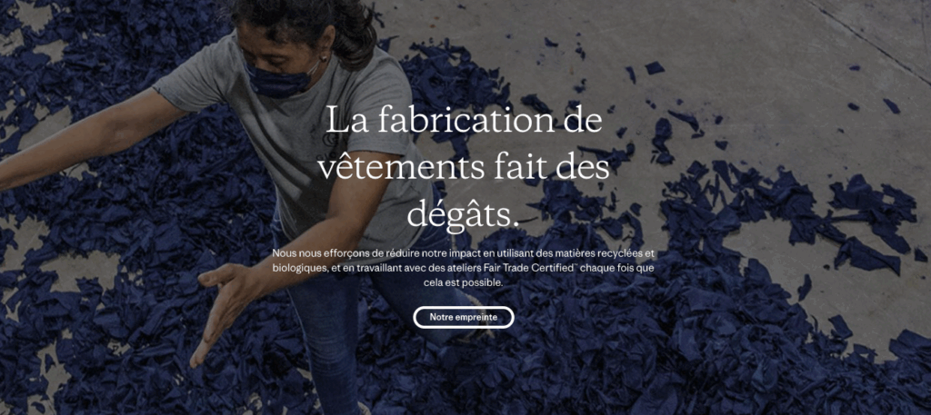 Bandeau du site Patagonia de la page d’accueil prônant leur mission